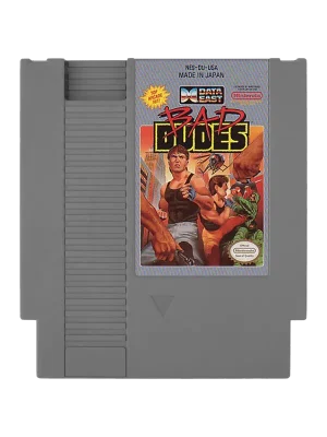 Bad Dudes