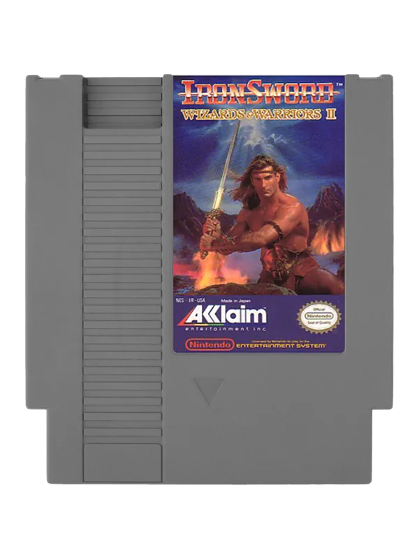 Iron Sword Wizards and Warriors II