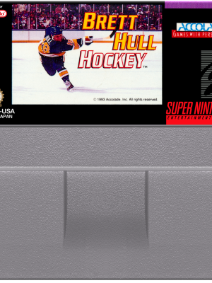 Brett Hull Hockey