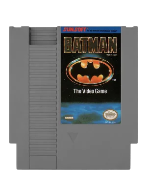 Batman The Video Game