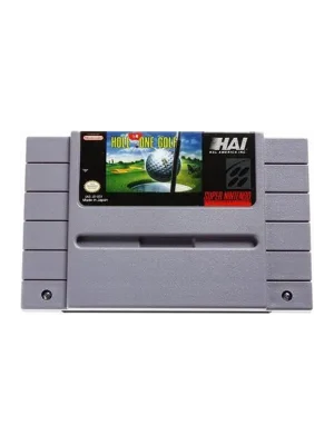 Hal's Hole in One Golf