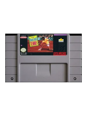 David Crane's Amazing Tennis