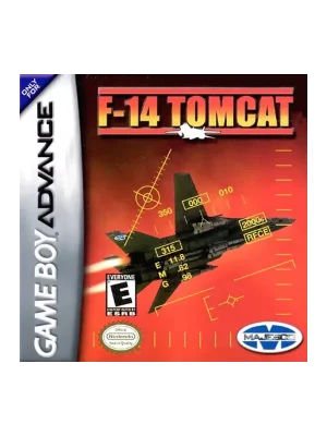 F-14 Tomcat