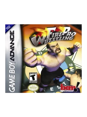 Fire Pro Wrestling