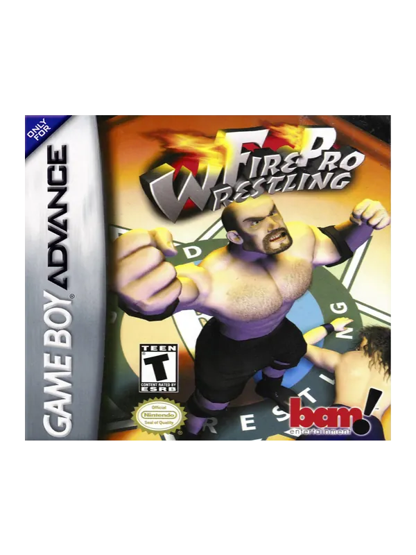 Fire Pro Wrestling