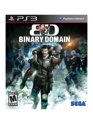 Binary Domain