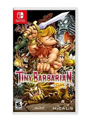 Tiny Barbarian DX