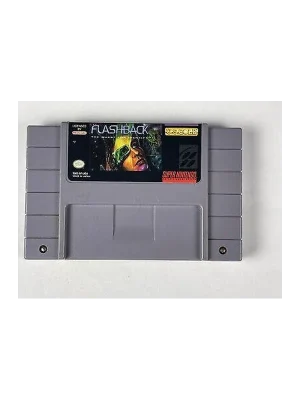 Flashback The Quest for Identity