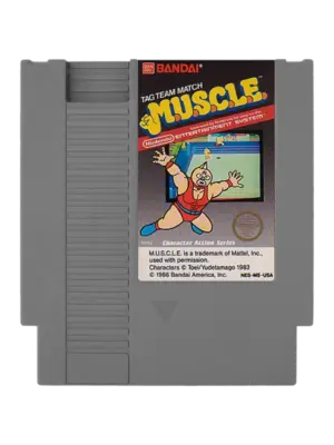 MUSCLE