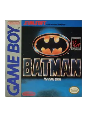 Batman the Video Game