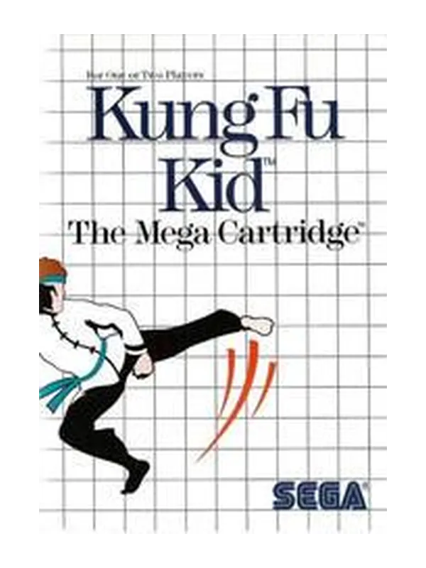 Kung Fu Kid